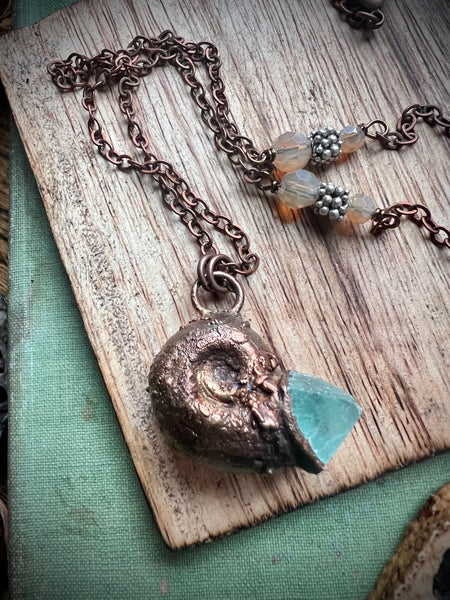 Electroformed Sea Shell W/Fluorite Crystal