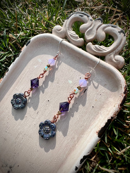 Purple Spring Daisies