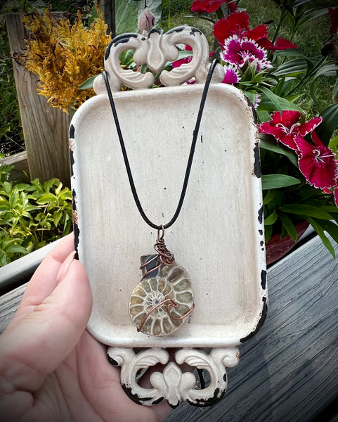 Wire Wrapped Ammonite Fossil
