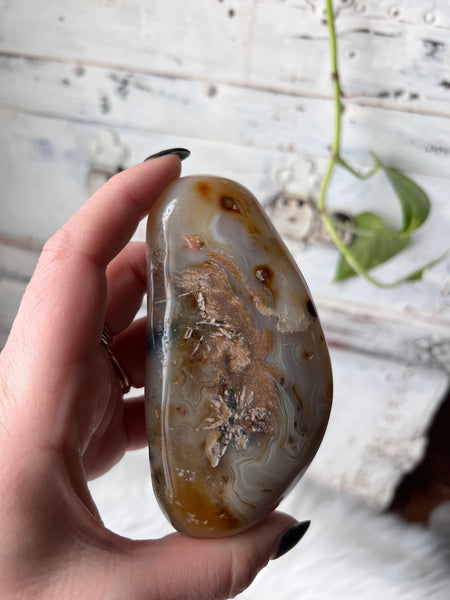 Crazy Lace Agate C2