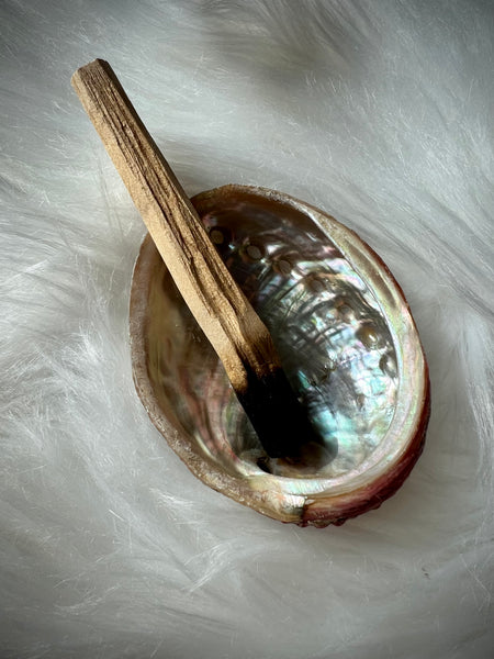 Abalone Shell