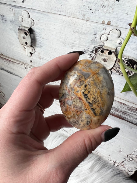 Crazy Lace Agate C3