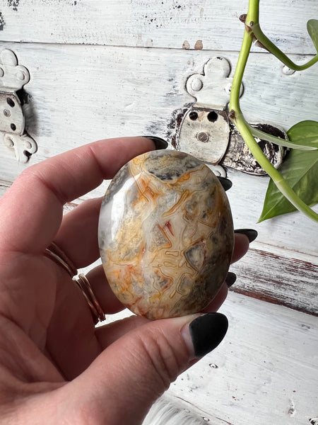 Crazy Lace Agate C3